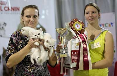 �������� ����� '���-�����-������' 22-23 ������ 2014 12_165_169A8422 copy.jpg